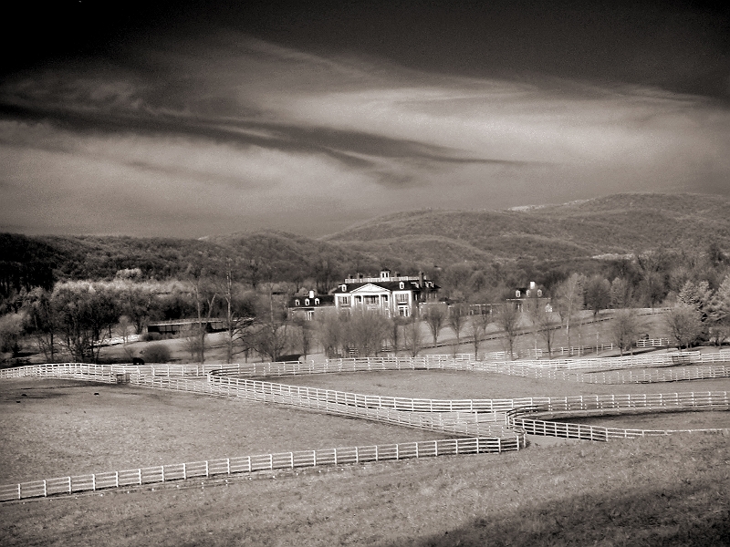 Horse Farm Stormville, NY � Dave Hickey